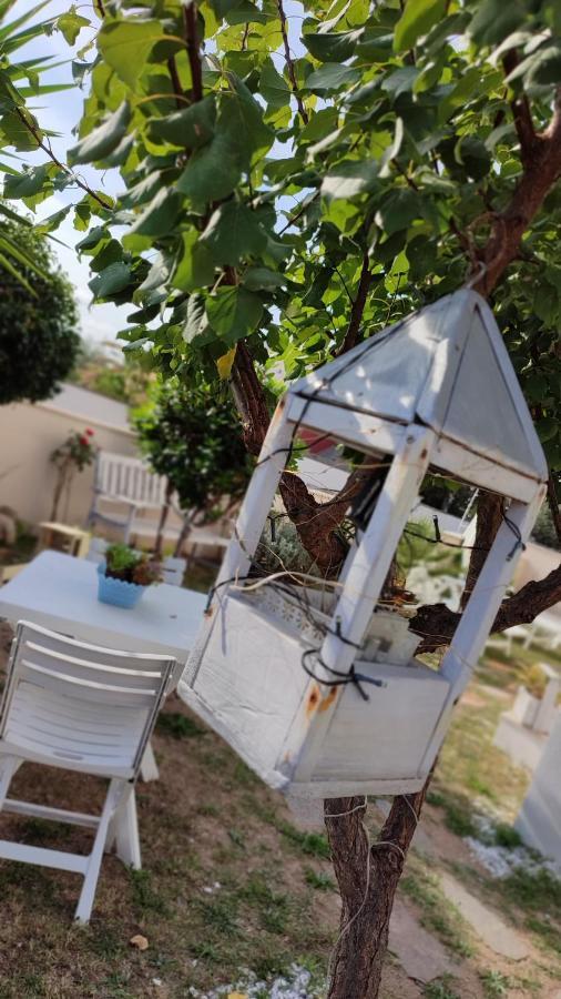 Casa Vacanze Olbia Buitenkant foto